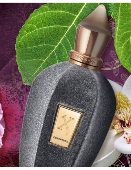 XERJOFF OUVERTURE EDP 100ML