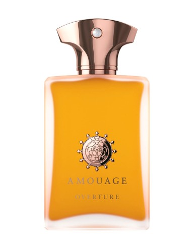 AMOUAGE OVERTURE EDP M 100 ML