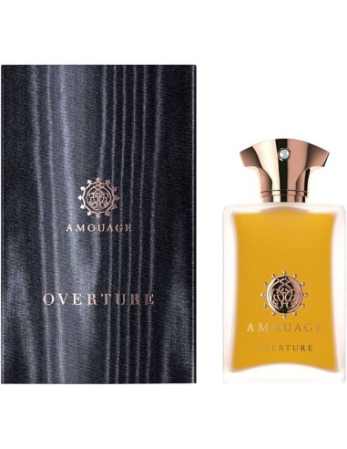 AMOUAGE OVERTURE EDP M 100 ML