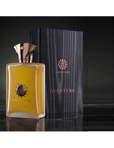 AMOUAGE OVERTURE EDP M 100 ML
