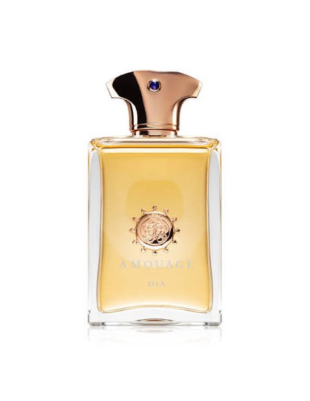 AMOUAGE DIA EDP W 100 ML