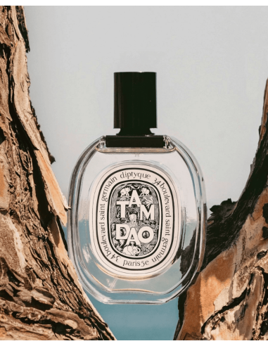 Diptyque Tam Dao Eau de Toilette 50 ml | Mundo Parfum