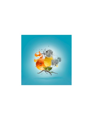 Xerjoff Erba Pura Eau de Parfum 100 ml | Mundo Parfum